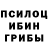 Псилоцибиновые грибы Psilocybe Sergey Yugoman