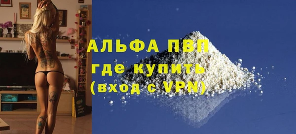 дживик Вязьма