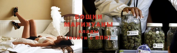 дживик Вязьма
