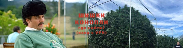 дживик Вязьма