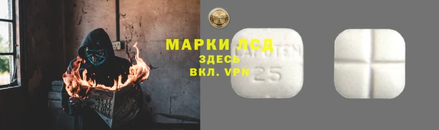 дживик Вязьма