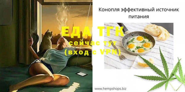 дживик Вязьма